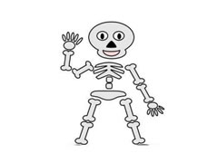 一具骷髏簡(jiǎn)筆畫分步繪制圖示