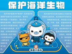 保護海洋生物手抄報內容模板