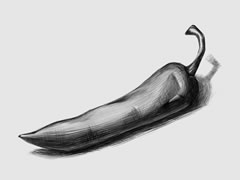 辣椒的素描畫(huà)法步驟圖示