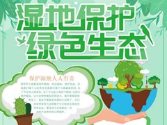 濕地保護(hù)綠色生態(tài)手抄報(bào)內(nèi)容模板