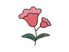 簡筆畫雞冠花畫法步驟圖示