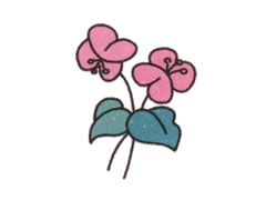 蝴蝶蘭簡筆畫繪制步驟圖示