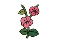 簡筆畫梅花畫法步驟圖示