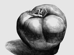 西紅柿素描畫(huà)法步驟圖示