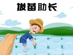 拔苗助長成語兒童插畫