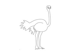 鴕鳥簡筆畫圖片