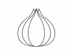 洋蔥簡(jiǎn)筆畫(huà)圖片