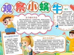 觀察小蝸牛手抄報(bào)模板