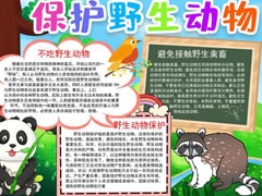 保護(hù)野生動(dòng)物手抄報(bào)模板