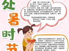 處暑時節(jié)手抄報內(nèi)容模板