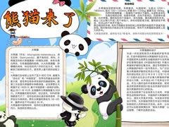 熊貓來了手抄報模板