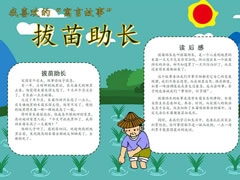 拔苗助長(zhǎng)手抄報(bào)模板