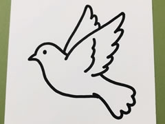 和平鴿簡(jiǎn)筆畫(huà)