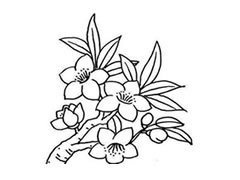 桃花簡(jiǎn)筆畫(huà)