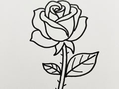 玫瑰花簡(jiǎn)筆畫(huà)