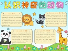 認(rèn)識(shí)神奇的動(dòng)物手抄報(bào)模板