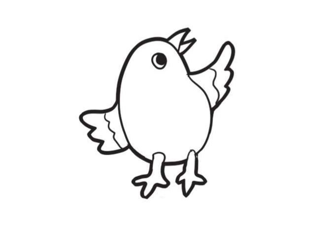 小鳥簡筆畫創(chuàng)作步驟圖示03